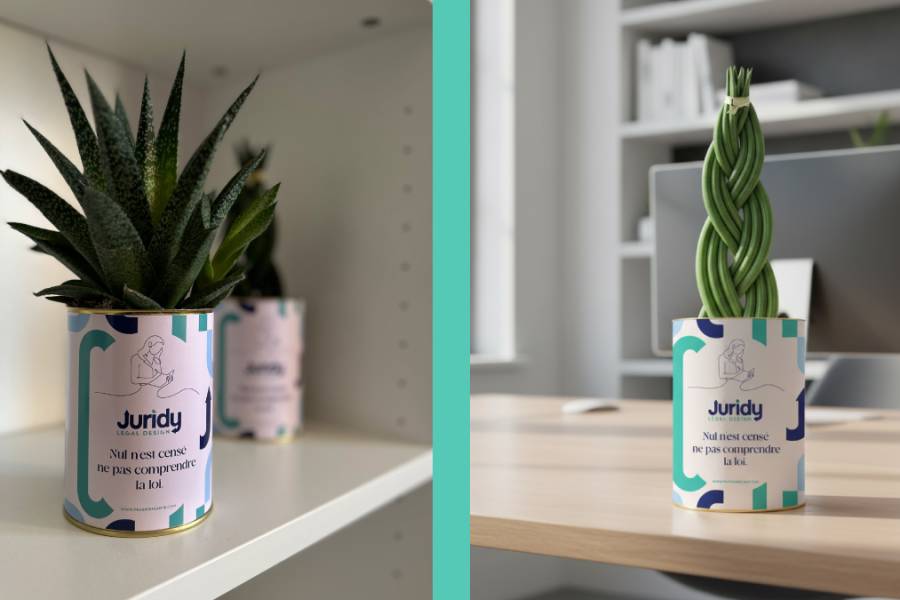 Le cadeau de fin d’année