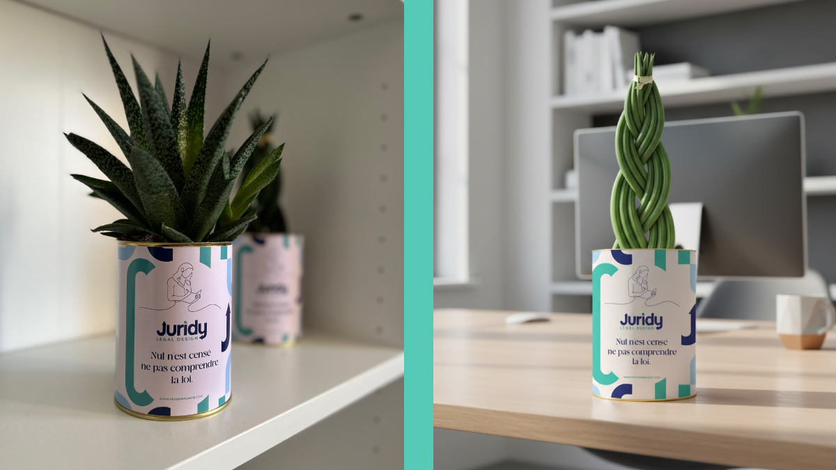 Le cadeau de fin d’année